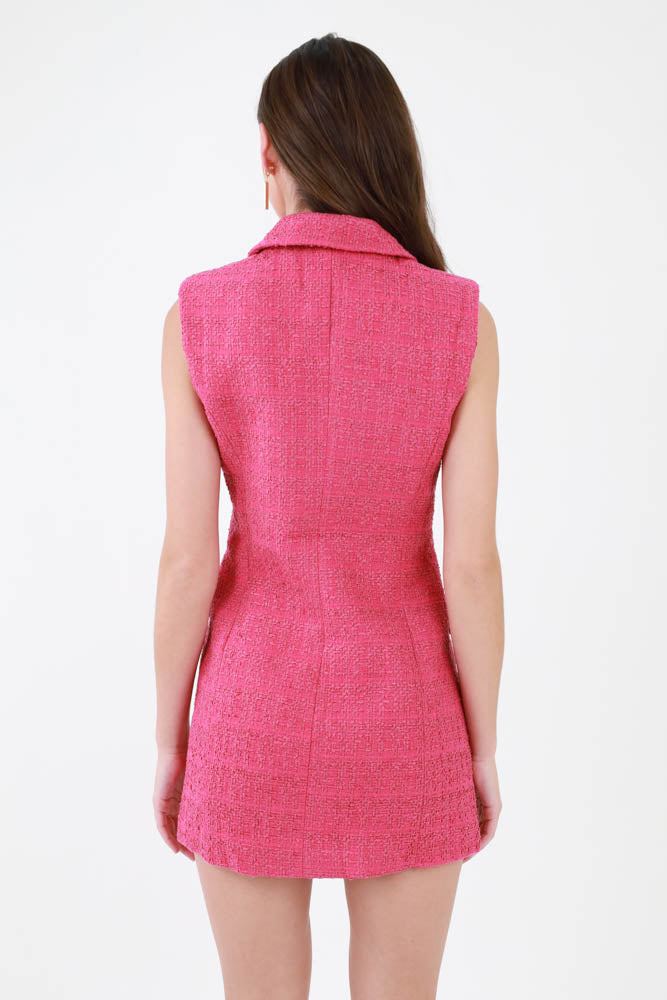 Back of Pink Tweed Dress